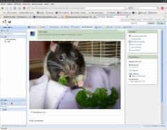 doc_leon.png, mai 2009